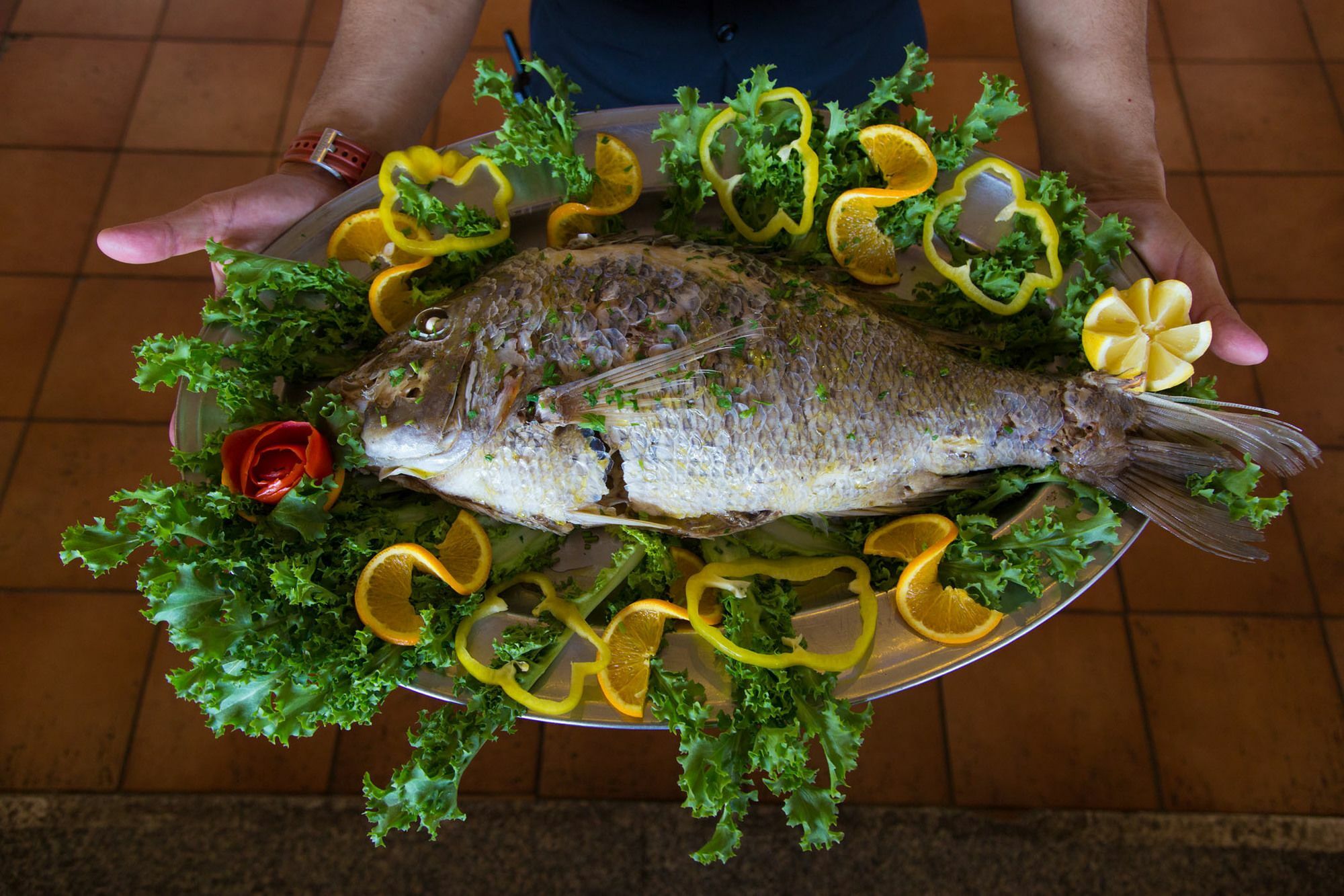 Resort Mangia's Sardinia - New Opening Santa Teresa Gallura